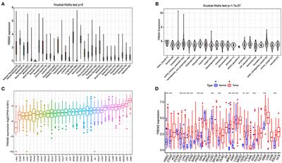 Systematic Pan-Cancer Analysis Identifies TREM2 as an Immunological and Prognostic Biomarker